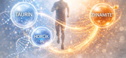 Energie bez kávy: proč kombinace taurinu, hořčíku a Zynamite® funguje jinak než kofein