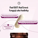 Feel Gut