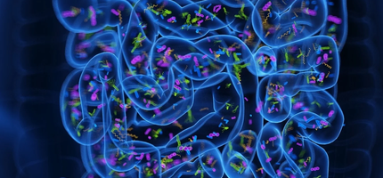 Mikrobiom jako ztracený organ: Jak biliony mikroorganismů ovlivňují naše zdraví