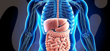 Mikrobiom - tvůj druhý mozek