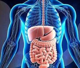 Mikrobiom - tvůj druhý mozek