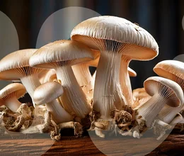 Co jsou adaptogeny a které jsou ty nejznámější?